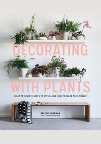 Decorating with Plants