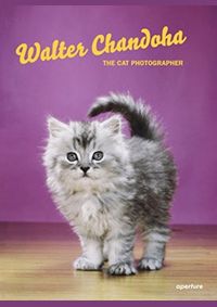 Walter Chandoha: The Cat Photographer