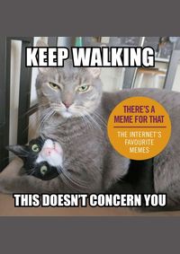 Keep Walking, This Doesnt Concern You: The Internets Favourite Memes