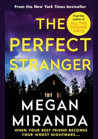 Kniha The Perfect Stranger