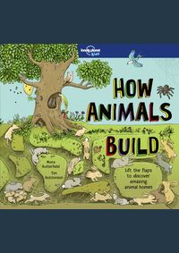 How Animals Build