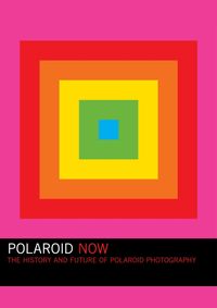 Polaroid Now