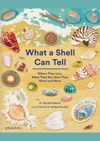 Kniha What A Shell Can Tell