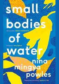 Kniha Small Bodies of Water