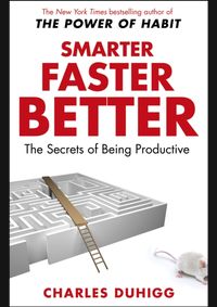 Kniha Smarter Faster Better
