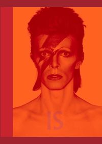 Kniha David Bovie is Inside