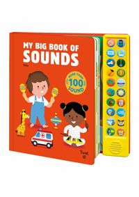 My Big Book of Sounds