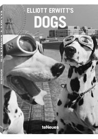Elliott Erwitts Dogs