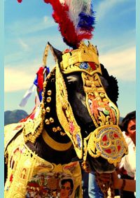 Kniha Luxury Equestrian Design