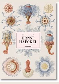 Haeckel