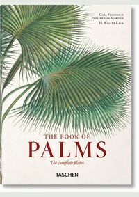 Kniha Martius. The Book of Palms. 40th Ed.