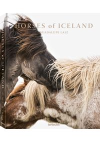 Horses of Iceland
