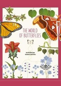 The World Of Butterflies