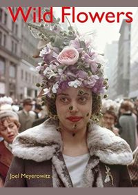 Joel Meyerowitz: Wild Flowers